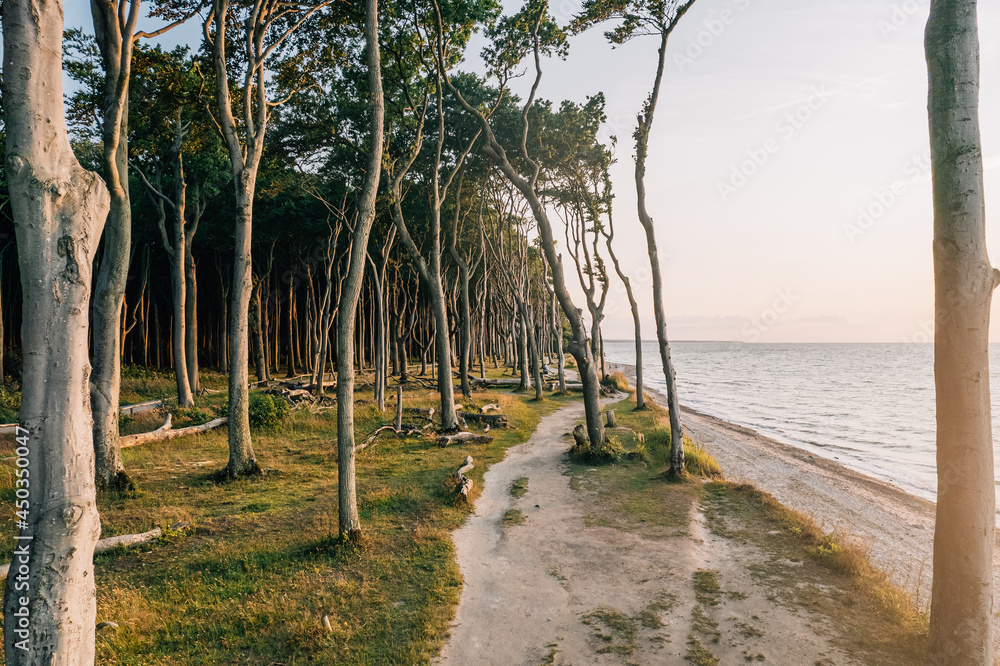 AdobeStock_450350047_Preview